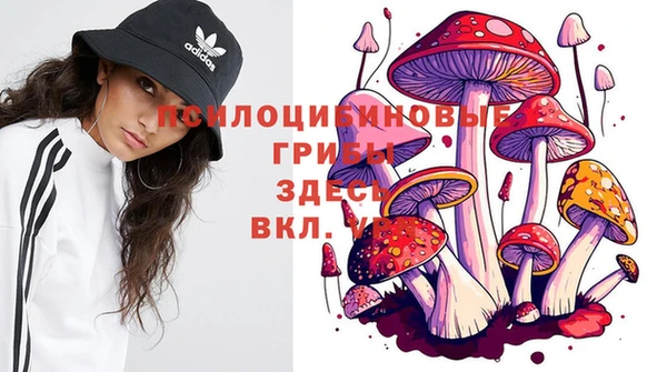 jwh Приозерск