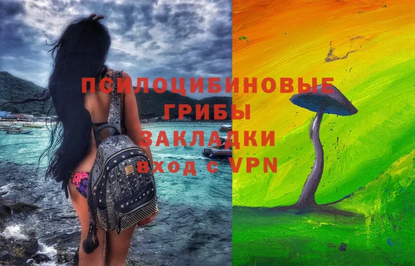 спиды Алзамай